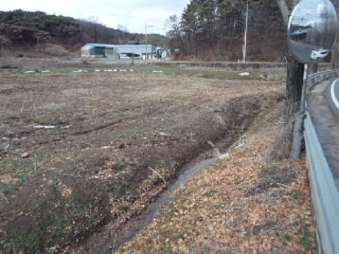 2025타경10238 사진