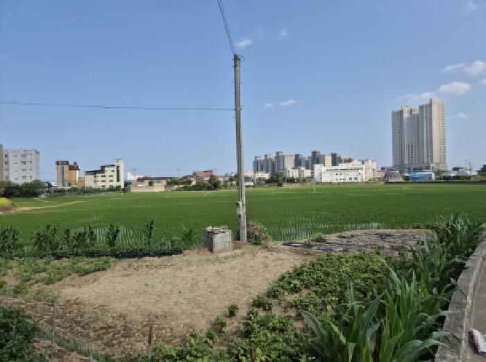 2025타경10243 사진