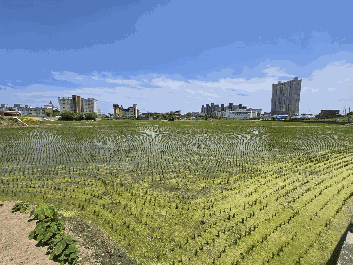 2025타경10243 사진