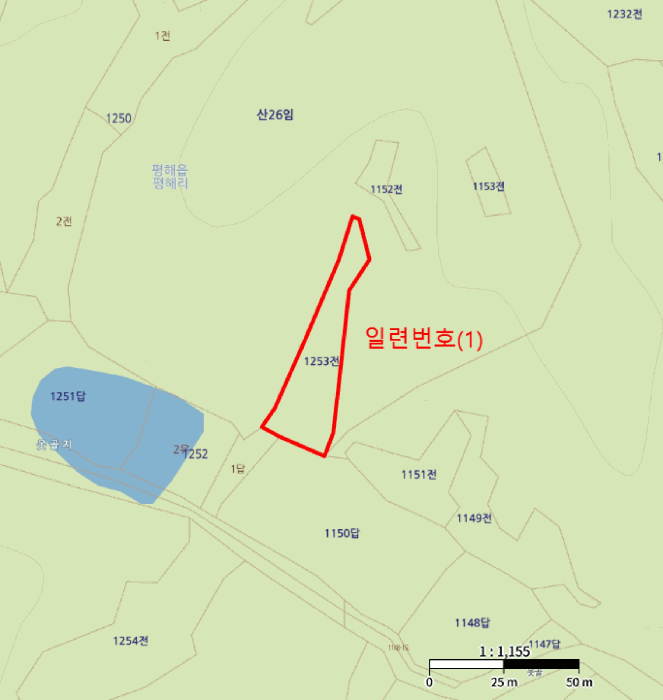 2025타경10246 사진