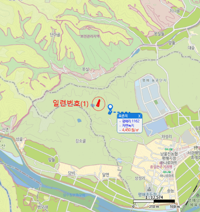 2025타경10246 사진