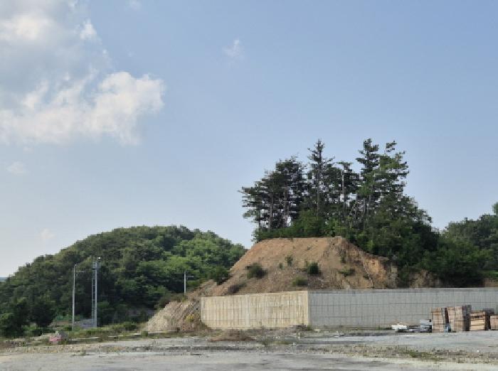 2025타경10252 사진