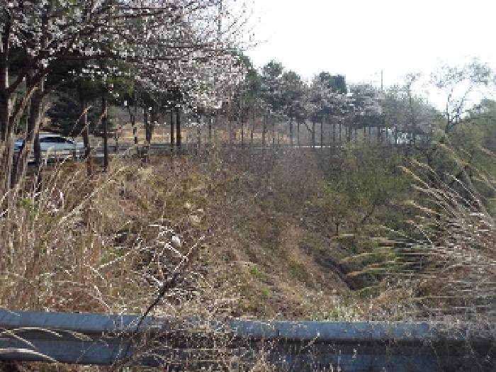 2025타경10264 사진