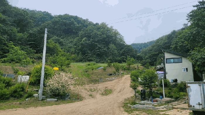 2025타경10276 사진
