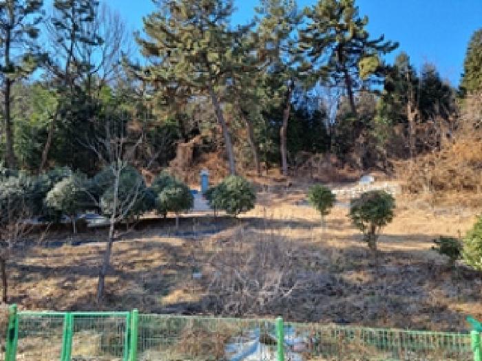 2025타경10320 부동산강제경매 대표 사진