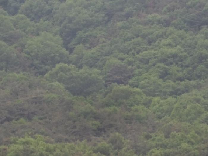 2025타경10324 사진