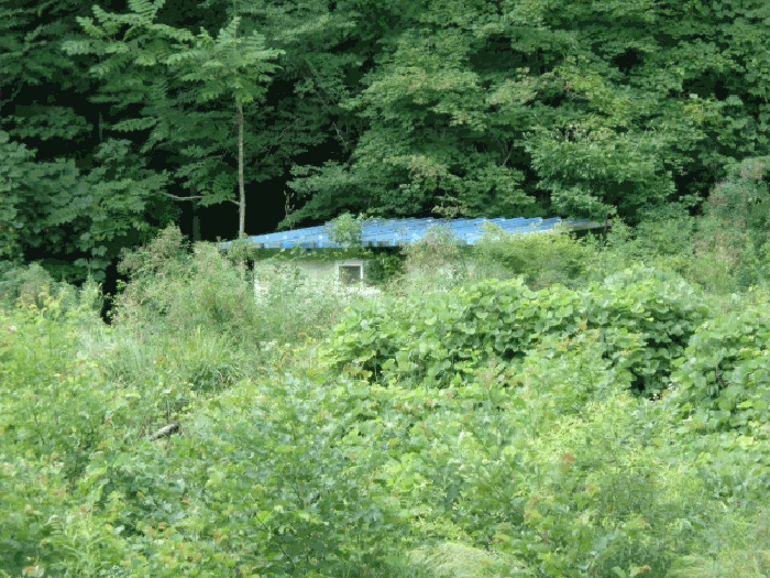 2025타경10330 사진