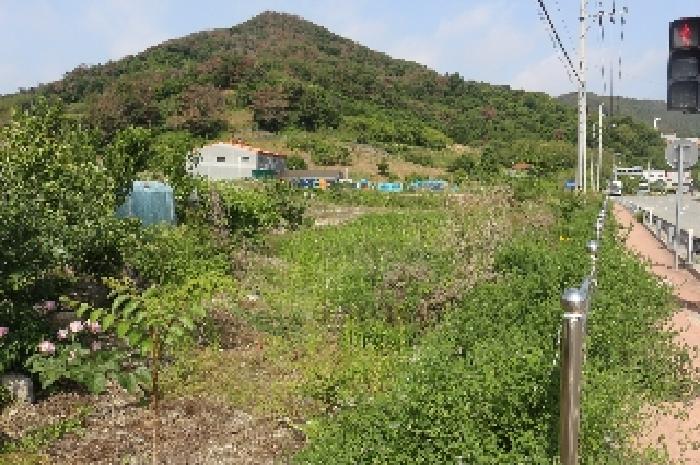 2025타경10334 사진