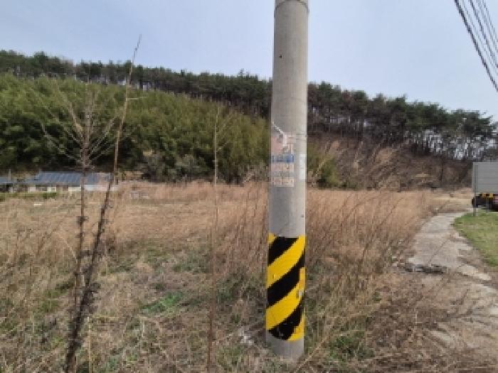 2025타경10420 사진