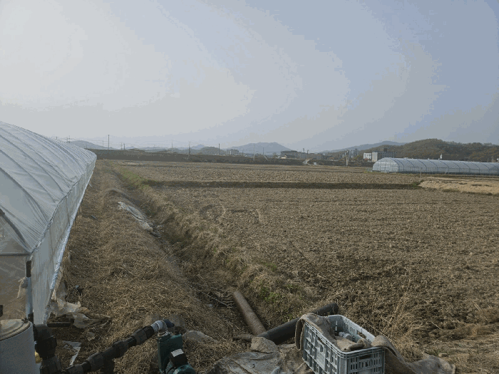 2025타경10433 사진