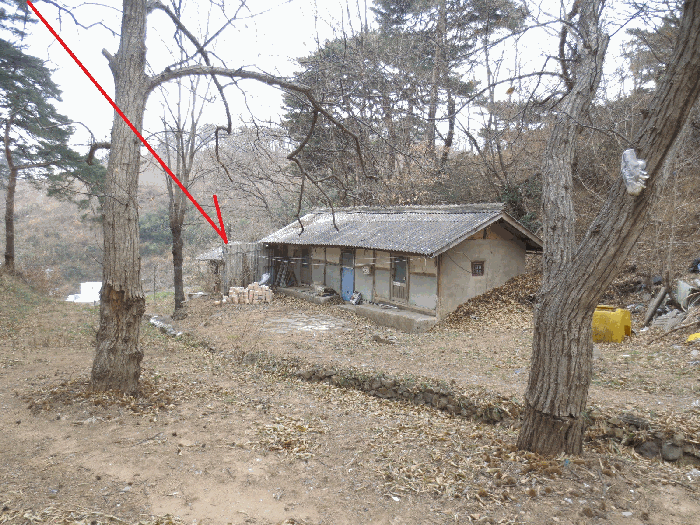 2025타경10444 사진