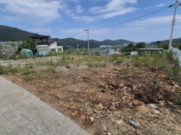 2025타경10556 사진