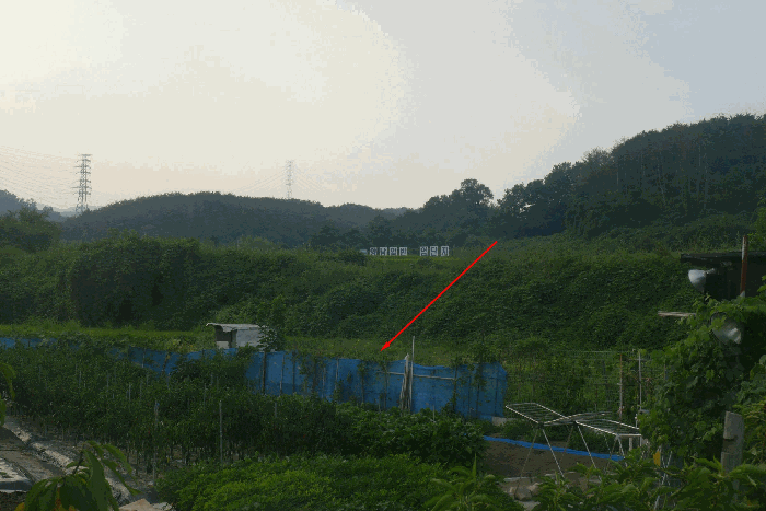 2025타경10617 사진
