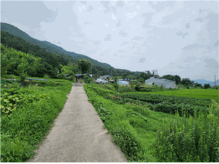 2025타경10628 사진