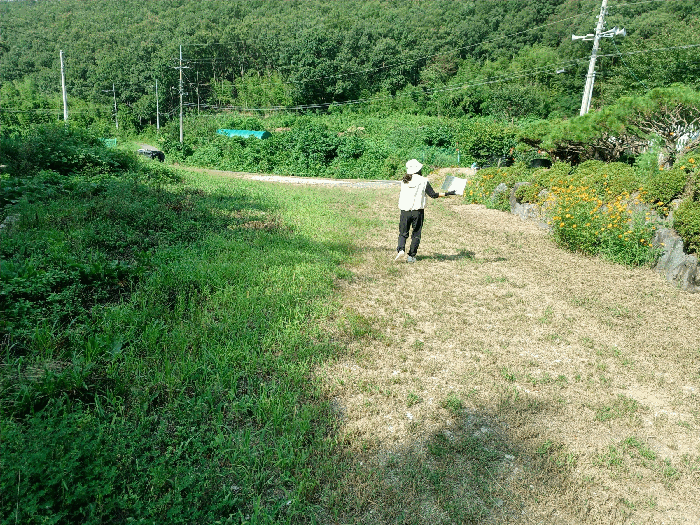 2025타경10644 사진