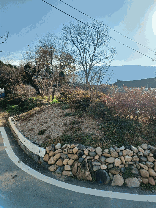2025타경10803 사진