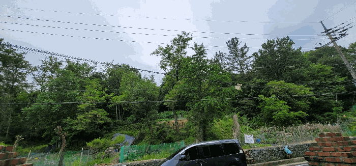2025타경10998 사진