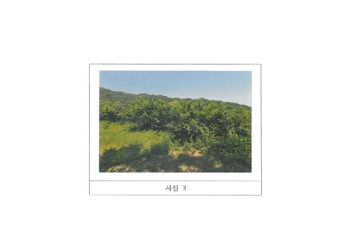 2025타경11024 사진