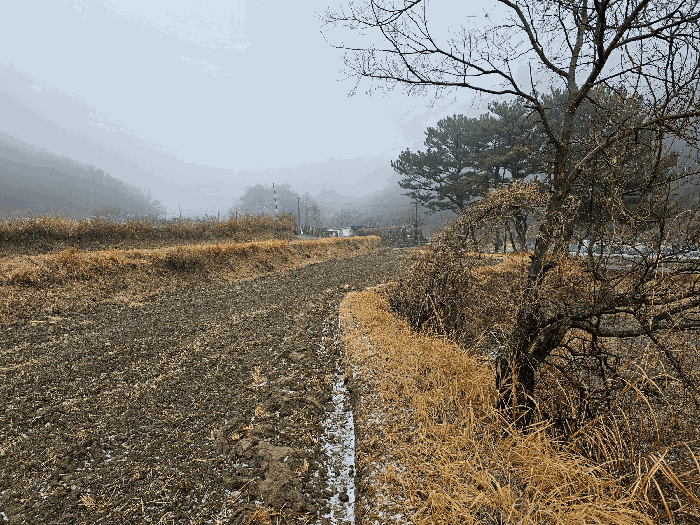 2025타경11084 사진