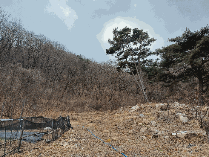 2025타경11131 사진