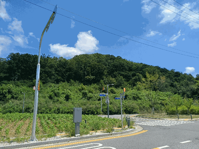 2025타경11288 사진