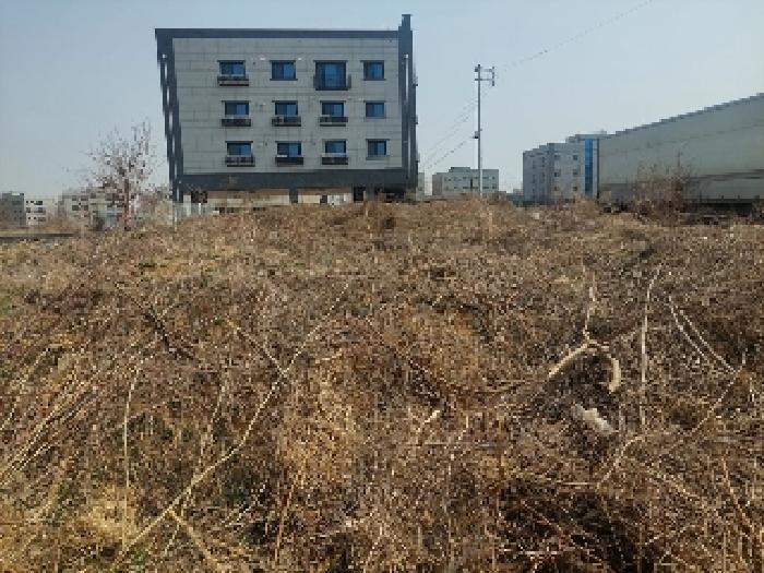2025타경11310 사진