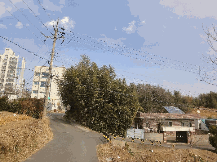 2025타경11363 사진