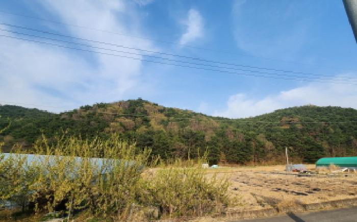 2025타경11519 사진