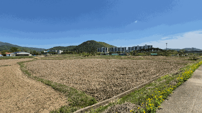 2025타경11567 사진