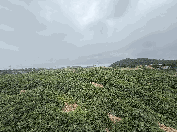 2025타경11720 사진