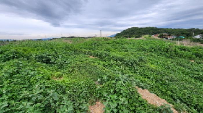 2025타경11720 사진
