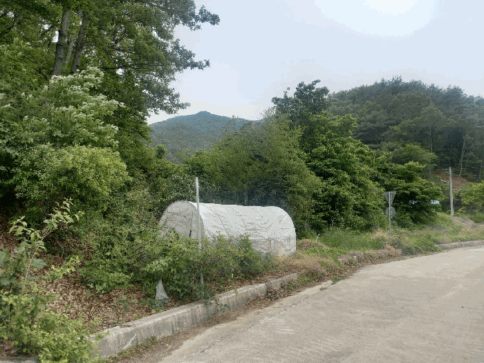 2025타경11748 사진
