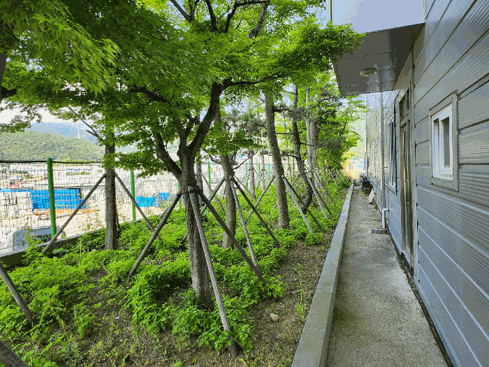 2025타경11752 사진