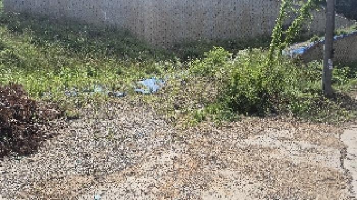 2025타경11809 사진