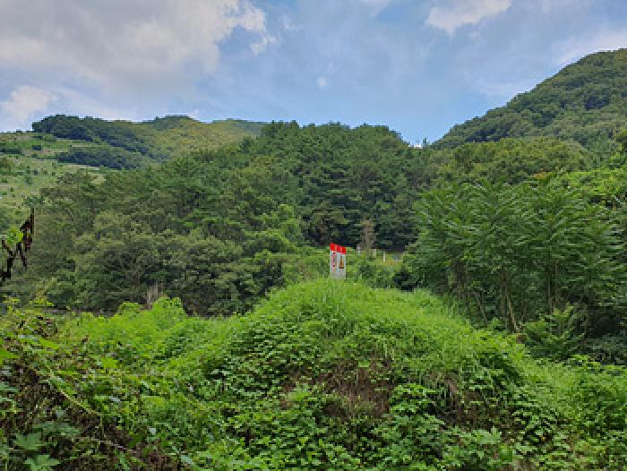 2025타경11841 사진