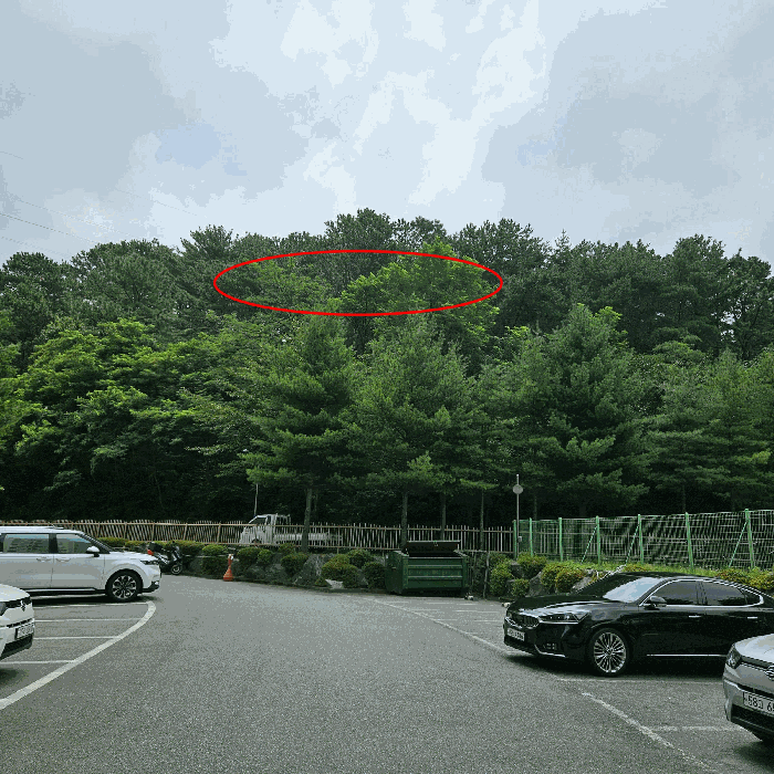 2025타경12020 사진