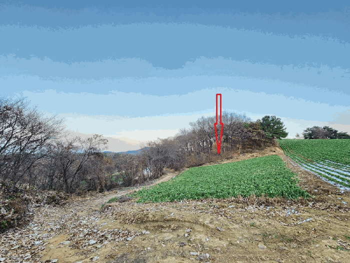 2025타경12593 사진
