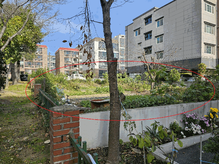 2025타경12746 사진