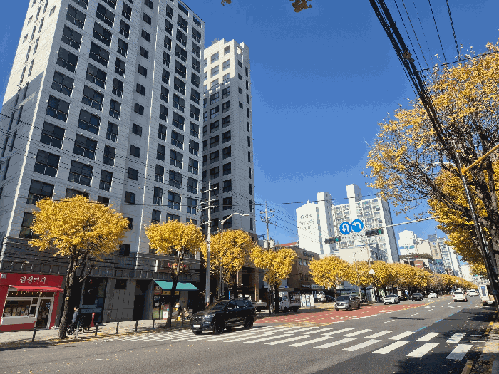 2025타경13118 사진