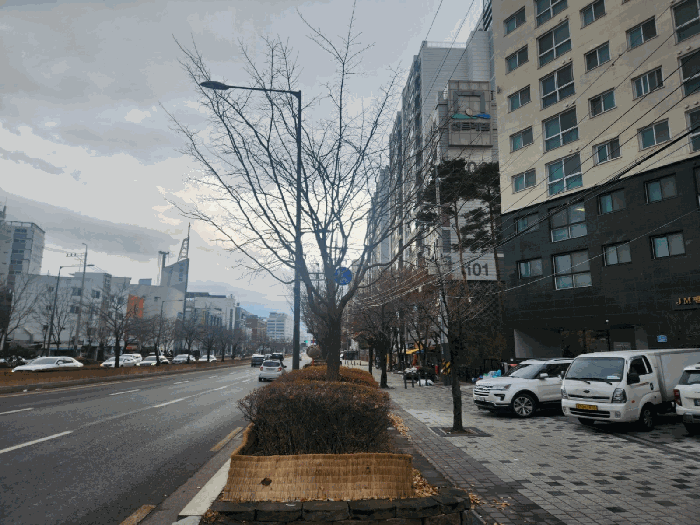 2025타경13611 사진