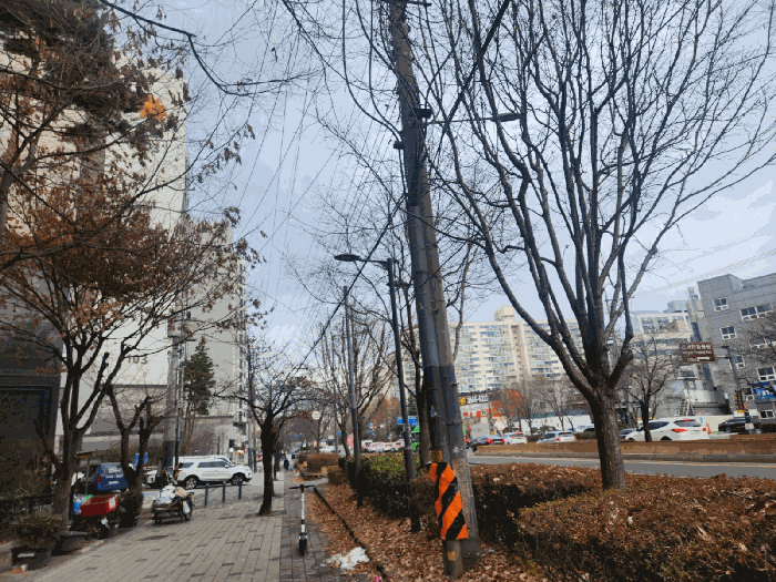 2025타경13611 사진