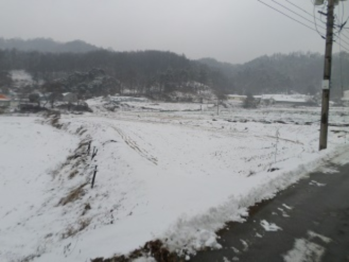 2025타경20088 사진