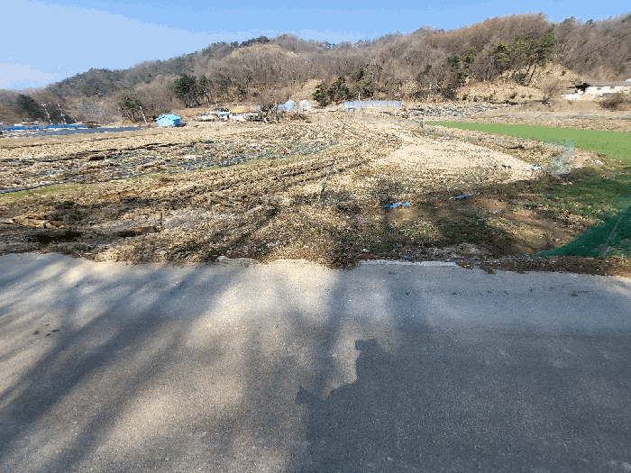 2025타경20088 사진