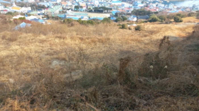 2025타경20316 사진