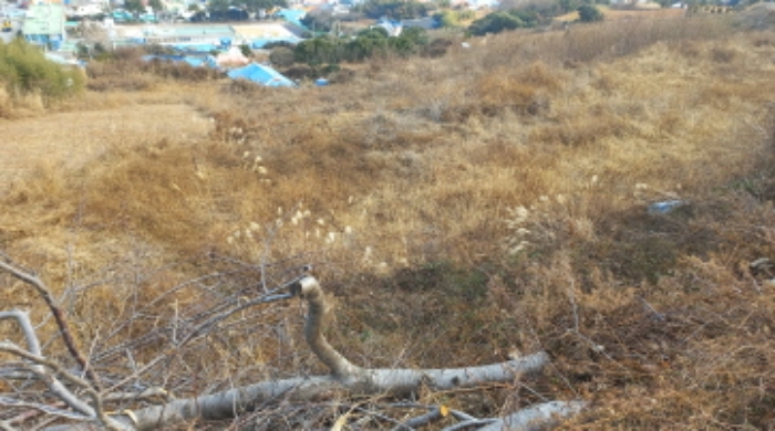 2025타경20316 사진
