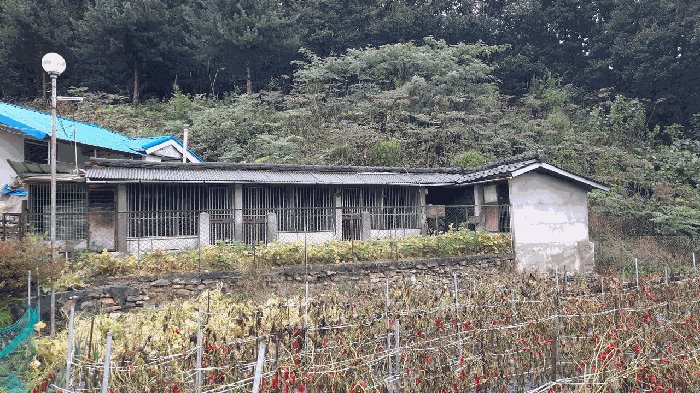 2025타경20864 사진