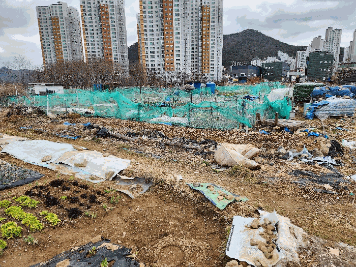 2025타경20997 사진