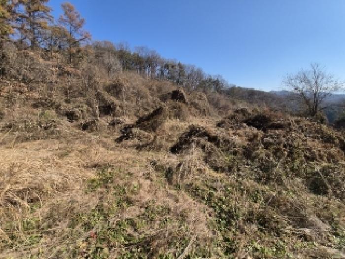 2025타경21024 사진