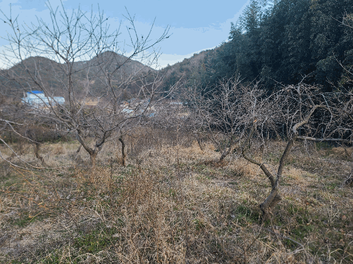 2025타경21032 사진