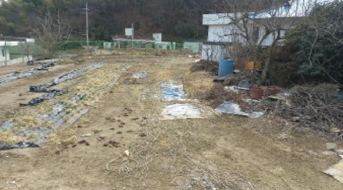 2025타경21039 사진